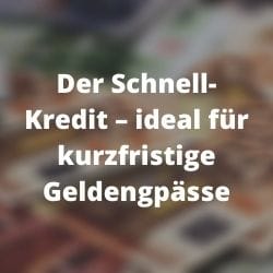         Der Schnell-Kredit
