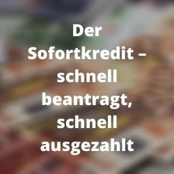         Der Sofortkredit – schnell beantragt, schnell ausgezahlt
